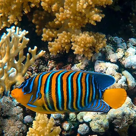 Frühstückspension Acquario Dei Fralle 3*